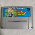 Super Famicom, loose, Gon