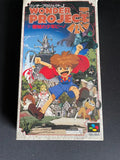 Wander Project J (SFC, CIB)